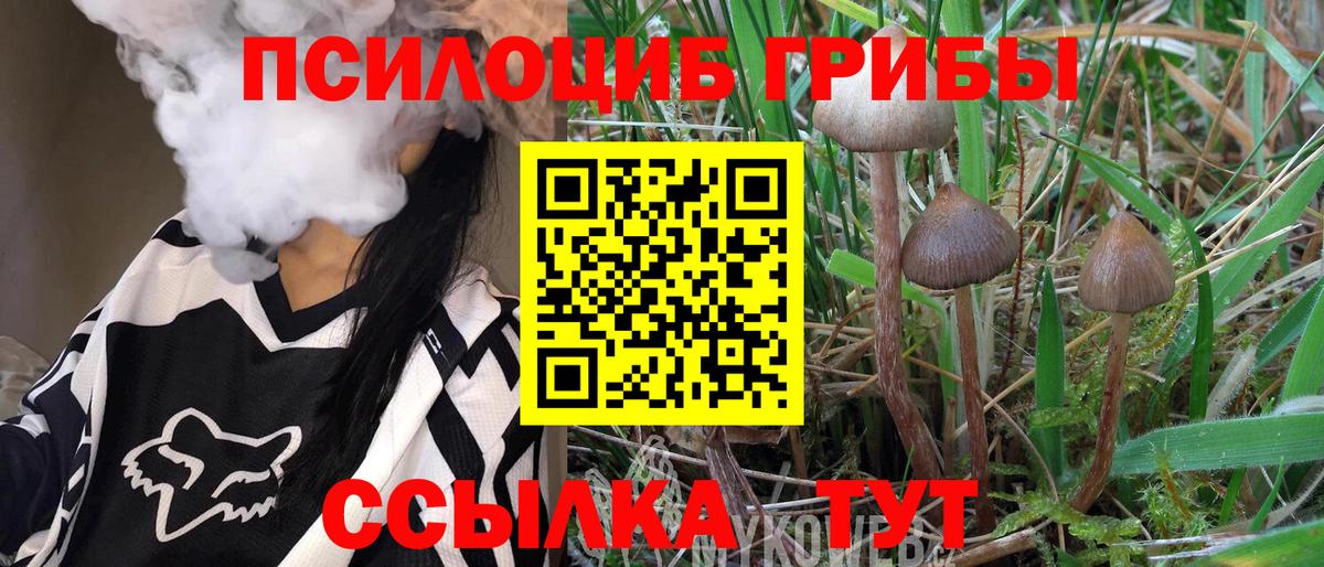Железногорск  Псилоцибиновые грибы Magic Shrooms  Вход с VPN  Псилоцибиновые грибы Magic Shrooms 